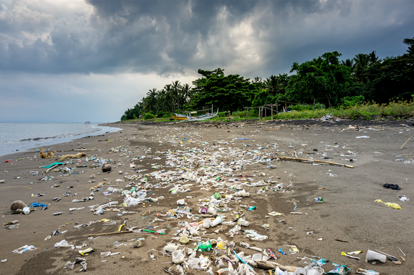 Personal Message: Working towards a waste-free lifestyle