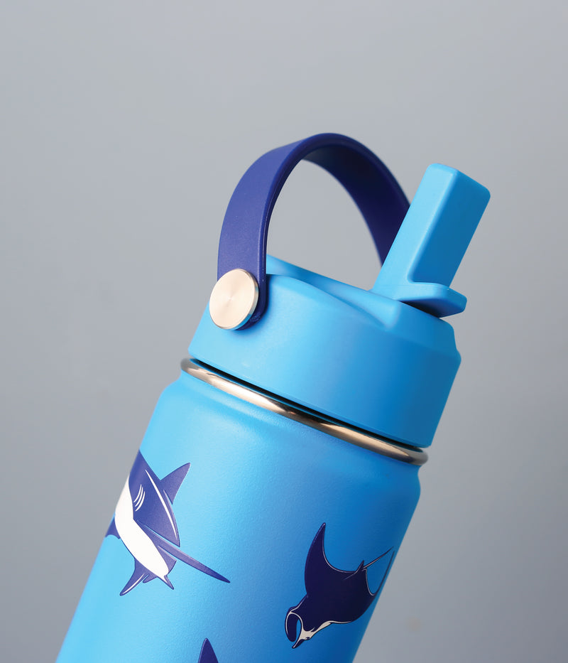 400ml Insulated Little Adventurer Bottle - Sharks
